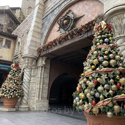 ディズニーシーのクリスマス