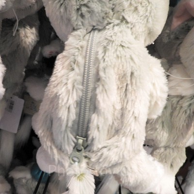 背中のチャック