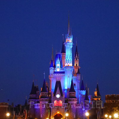 夜のシンデレラ城
