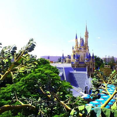 スイスファミリー・ツリーハウスからならこんなシンデレラ城も♪