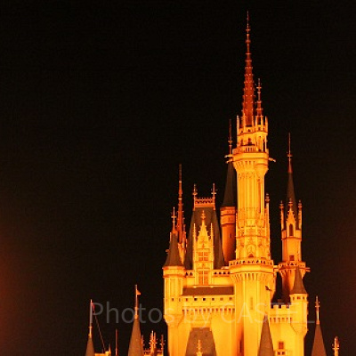 シンデレラ城⑧