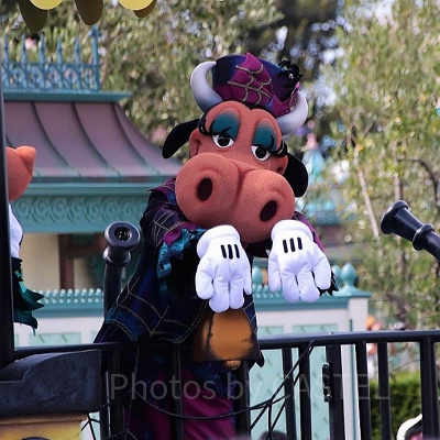 クララベル・カウ