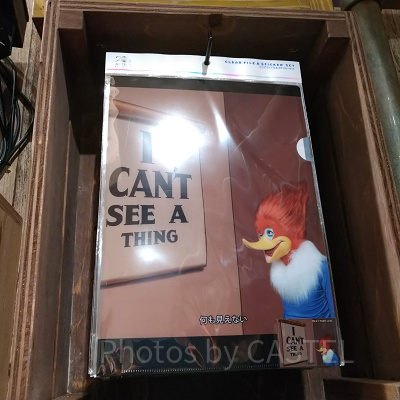 クリアファイル＆ステッカーセット／菅田将暉