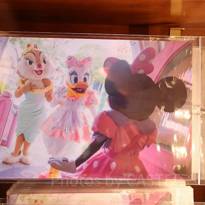 クリアホルダーセット表