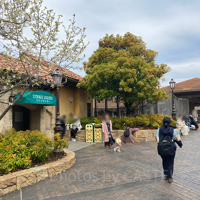 ヴァレンティーナズ・スウィート付近のコインロッカー（パーク内）