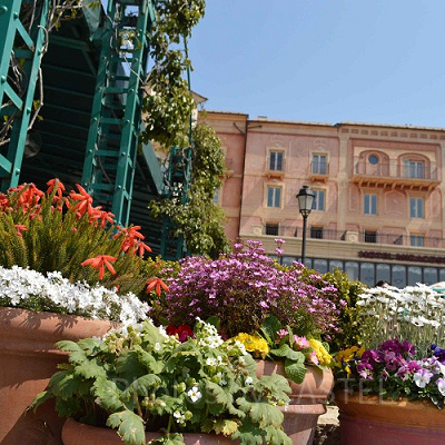 色とりどりの花々もパークを盛り立てるプロップスの一つです！