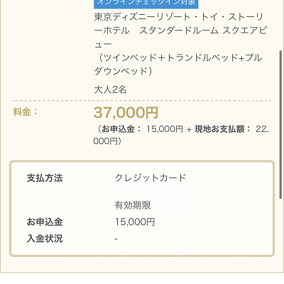 入力情報の確認