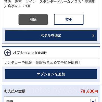 選択内容の確認（ANA）