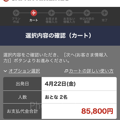選択内容の確認（JAL）