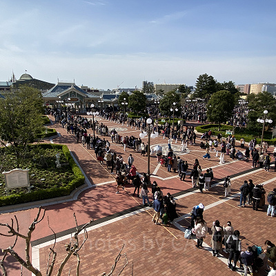ディズニーランドの混雑の様子