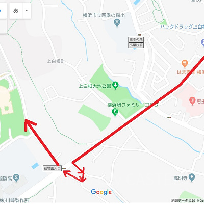 車で向かう際の混雑回避ルート