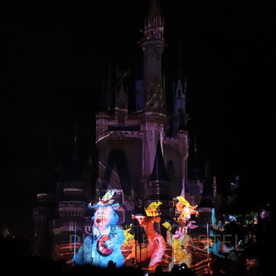 カントリーベア