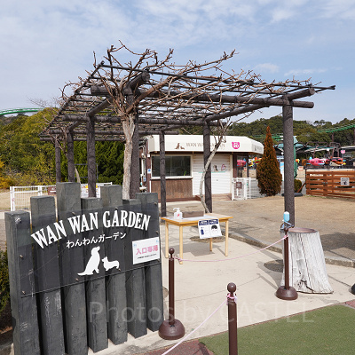 かわいいワンちゃんたちがお出迎え