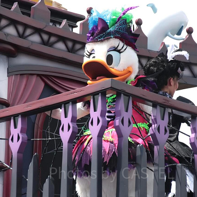 デイジーダック