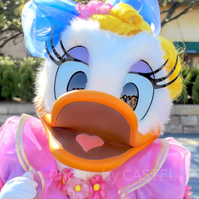 デイジーダック