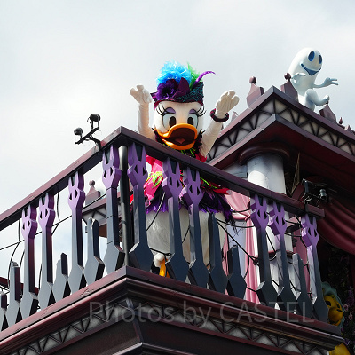 フロート後方にはデイジーが乗っています！