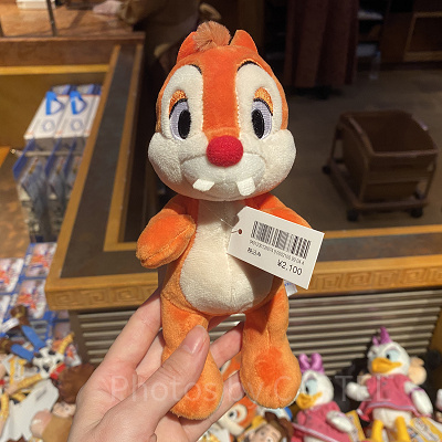 デールポージープラッシー