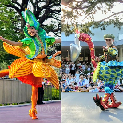 花や鳥モチーフの衣装を着たダンサー
