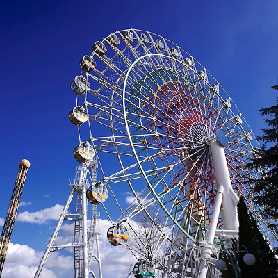 日帰りプランも割引対象！