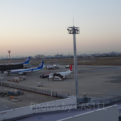 飛行機で日帰りディズニー