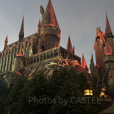 デス・イーター～ホグズミードの危機～で映し出されるアクロマンチュラ