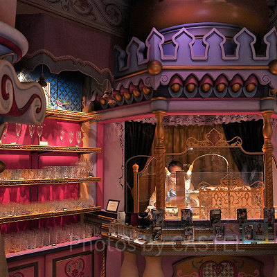 アグラバーマーケットプレイスの実演の様子