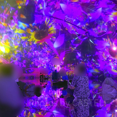 チームラボお台場と豊洲の服装の違い