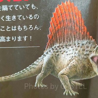 ディメトロドン