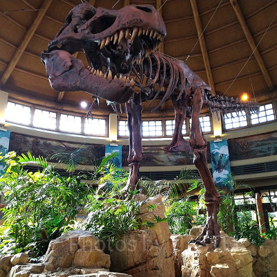USJのディスカバリー・レストラン