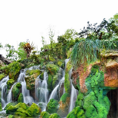 ディズニーアニマルキングダム（ウォルト・ディズニー・ワールド）