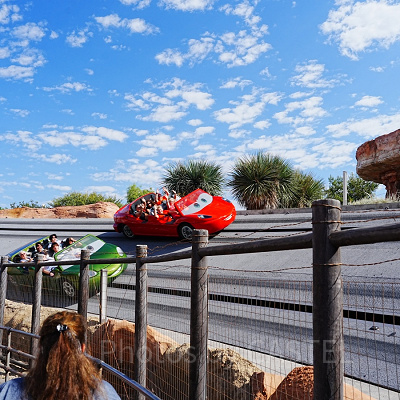 ディズニーカルフォルニアアドベンチャーのアトラクション：ラジエーター・スプリングス・レーサー