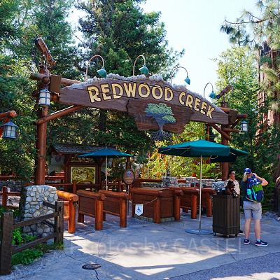 ディズニーカルフォルニアアドベンチャーのアトラクション：レッド・ウッド・クリーク・チャレンジ・トレイル