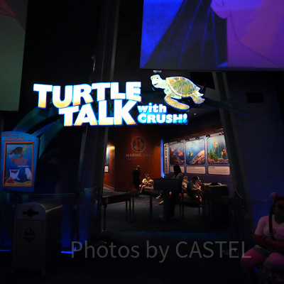 ディズニーカルフォルニアアドベンチャーのアトラクション：タートルトーク
