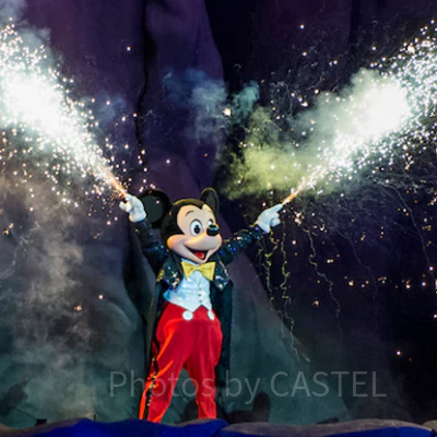 ディズニー貸切