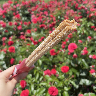 ディズニーのチュロス