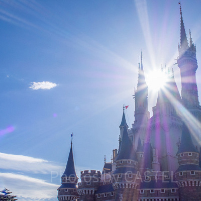 ディズニー混雑