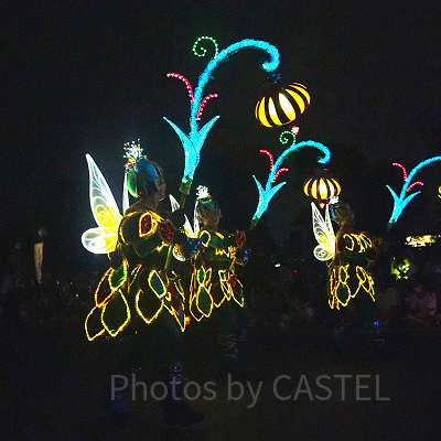 ディズニー・フェアリーズ（ダンサー）