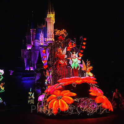 ディズニー・フェアリーズ