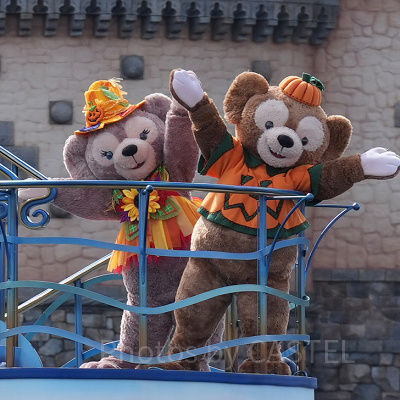 ディズニー・ハロウィーン・グリーティングのコスチューム