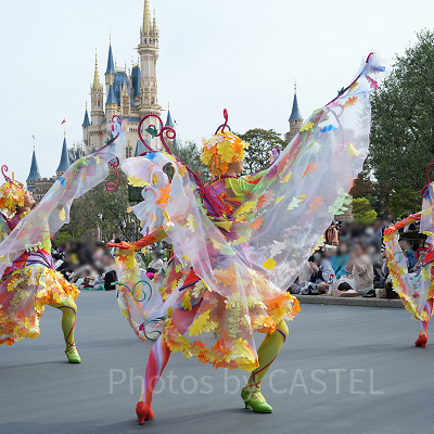 ディズニー・ハーモニー・イン・カラー