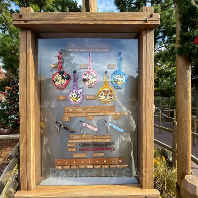ディズニーラゲッジタグ