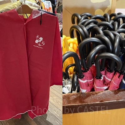 雨の日のディズニーはカッパ？傘？それぞれのメリットとデメリットも◎