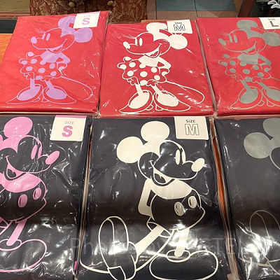 雨の日のディズニー