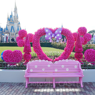 ディズニー　パルパルーザ ディズニー・パルパルーザ “ミニーのファンダーランド”の