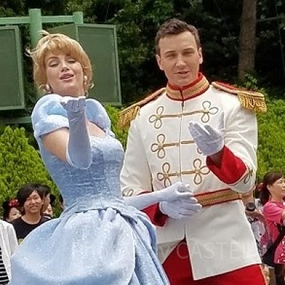 ディズニープリンスの声優②：プリンス・チャーミング（王子）
