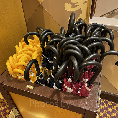 ディズニーの雨具