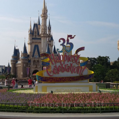 ディズニーレストランまとめ