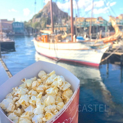 ディズニーシー食べ物：ポップコーン（ガーリックシュリンプ味）