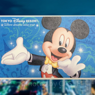 ディズニーチケット日付指定券