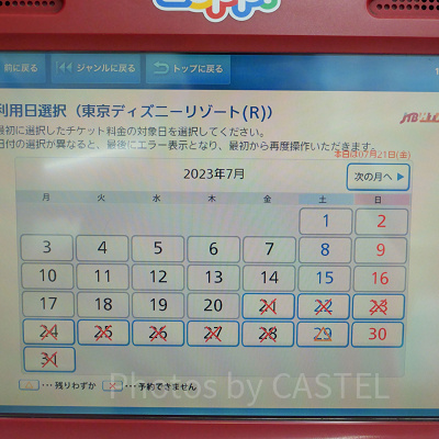  ディズニーチケットの購入画面（ローソン）